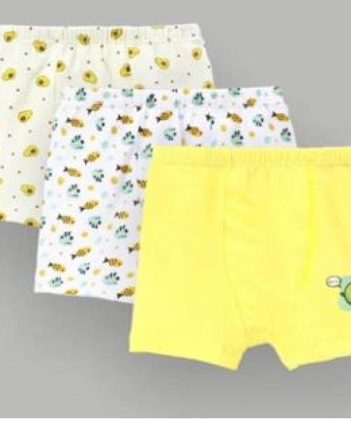 BRIEFS / 2025